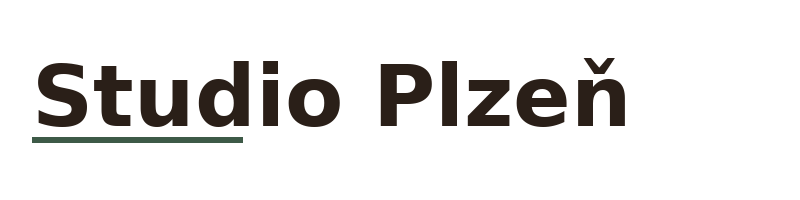 Studio Plzeň logo